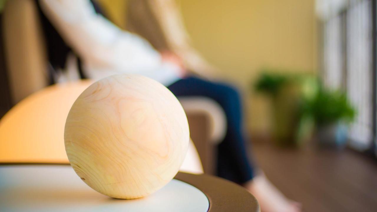 Good Nature Hotel Кіото Екстер'єр фото A ball used in the game of boule
