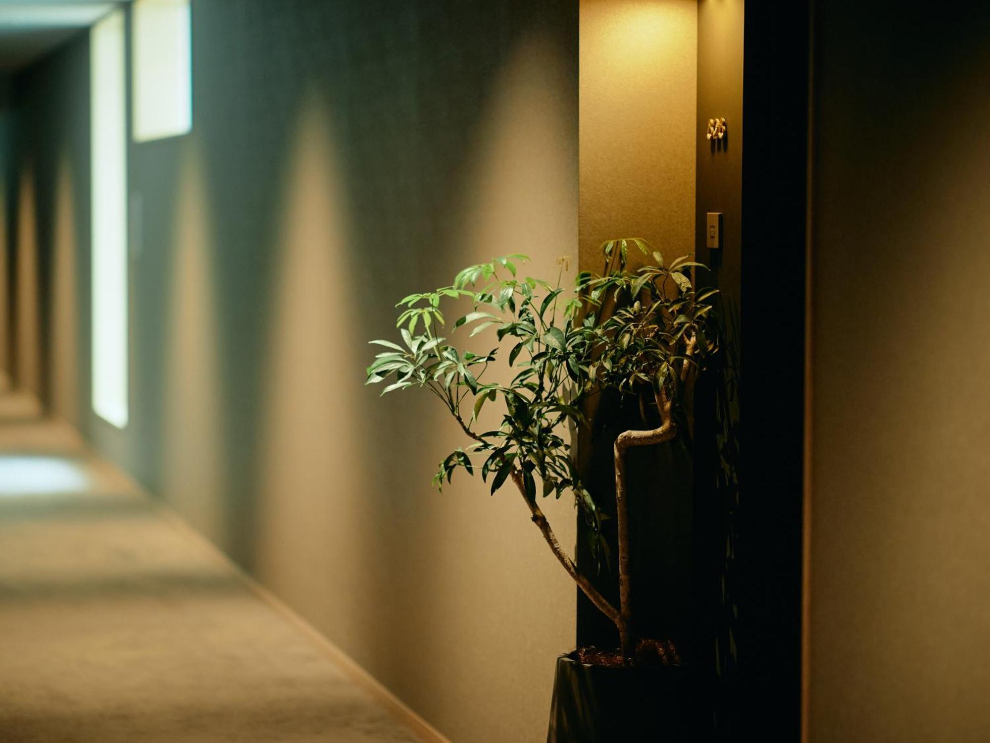 Good Nature Hotel Кіото Номер фото A corridor in a hotel