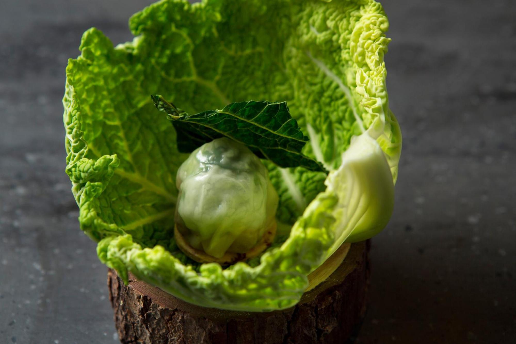 Good Nature Hotel Кіото Екстер'єр фото A cabbage leaf with a ball of ice